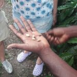 Blue Mountain Path Finder - Authentic Experiences and Practical Details