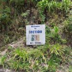 Blue Mountain Sight-Seeing & Nature Trail Hike with Private Guide - Authentic Experiences and Practical Considerations