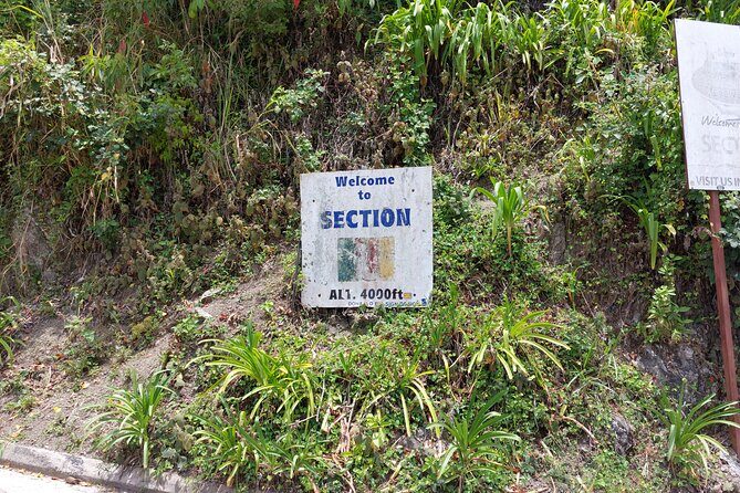 Blue Mountain Sight-Seeing & Nature Trail Hike with Private Guide - Authentic Experiences and Practical Considerations