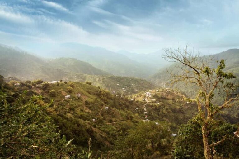 Blue Mountain Tour: A Half-Day Escape from Kingston - What Makes This Tour Stand Out?