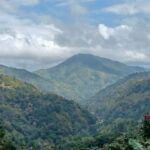 BLUE MOUNTAIN TOUR FROM OCHO RIOS - A Deep Dive into the Blue Mountain Tour Experience