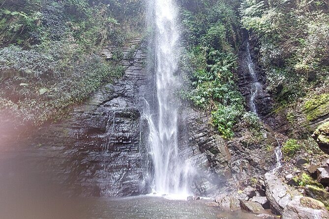 Blue Mountain Waterfall and Sightseeing Ecotour - Who Would Love This Tour?
