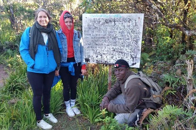 Blue Mountains Peak Hike - Authenticity and Value