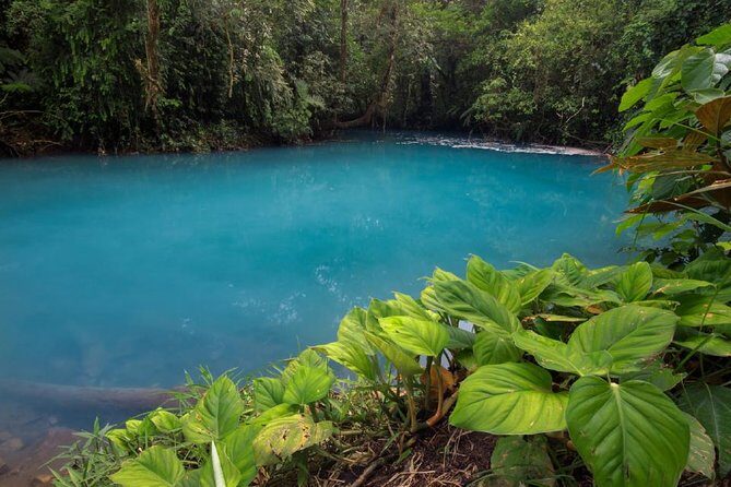 Blue River and Tenorio Volcano National Park Hike - A Detailed Look at the Tour Experience