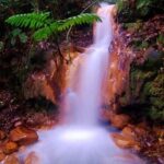 Blue River Hot Springs Adventure in Rincon de la Vieja from Dreams Las Mareas - Practical Tips for Your Day