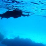 Blue Room and Beach Tour Curacao by Speedboat - Who Is This Tour Best For?