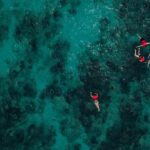Boat and Snorkeling in West End (Blue Channel, The Aquarium, Turtle Crossing) - Who Should Book This Tour?
