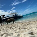 Boat Charters & Excursions - Who Will Love This Tour?