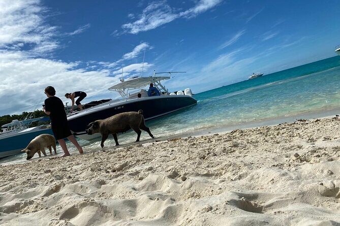 Boat Charters & Excursions - Who Will Love This Tour?