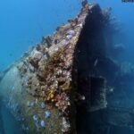 Boat Dive Shipwreck/ Airplanes/ Reef /2 tanks - What You Need to Know Before Booking