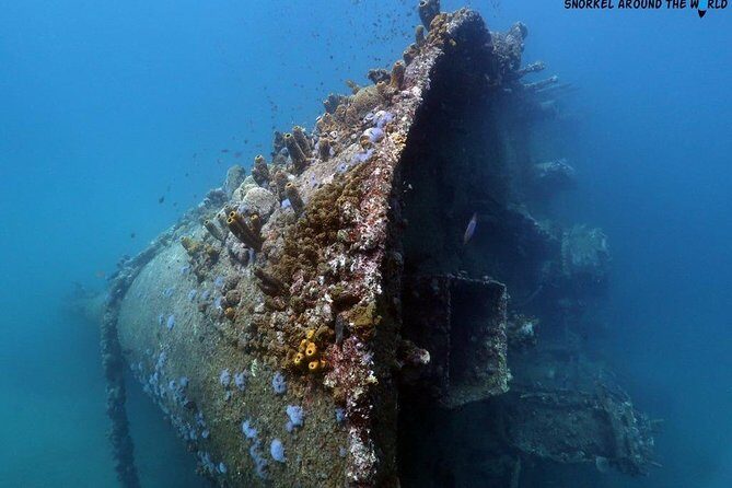 Boat Dive Shipwreck/ Airplanes/ Reef /2 tanks - What You Need to Know Before Booking