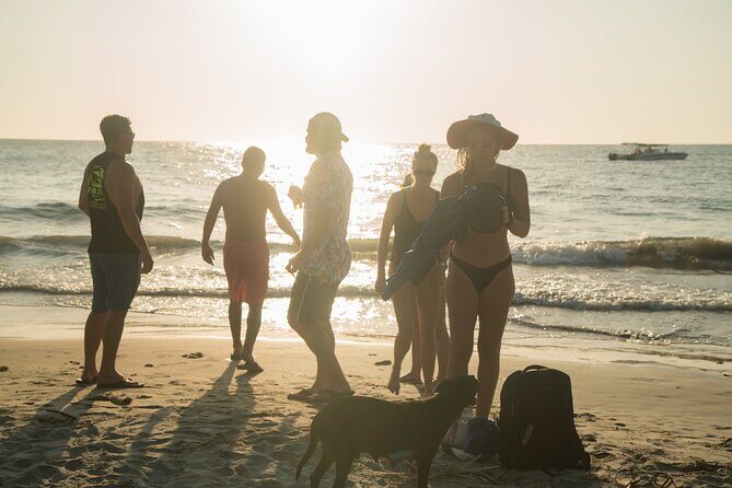 Boat Rental To The Rosario Islands Up To 10 People - Authentic Reviews & Insights