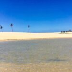 Boat ride: São Francisco River, the largest in Brazil - What Travelers Say