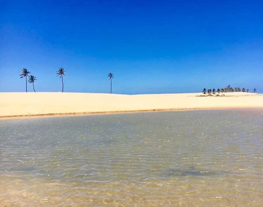 Boat ride: São Francisco River, the largest in Brazil - What Travelers Say
