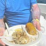 Boat Tour , Catch & Cook | Creative Eco Adventures - Who Would Love This Tour?