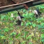 Boat Tour in Palo Verde River | Near Nicoya - Authenticity and Value