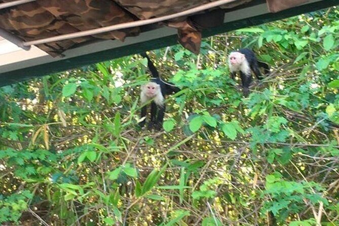Boat Tour in Palo Verde River | Near Nicoya - Authenticity and Value