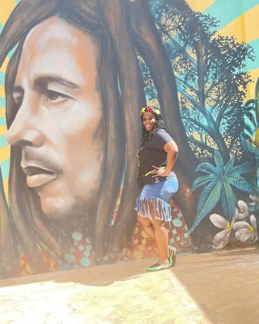 Bob Marley, Blue Hole, Secret Falls and Luminous Lagoon Tour - Who Will Love This Tour?