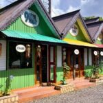 Bob Marley Nine Mile Admission and Guided Tour from Ocho Rios - Why This Tour Is Worth It