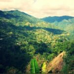 Bob Marley Nine Mile Home Private Tour from Montego Bay - Final Thoughts