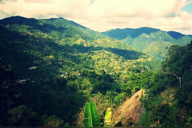 Bob Marley Nine Mile Home Private Tour from Montego Bay - Final Thoughts