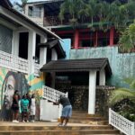 Bob Marley Nine Mile Tour - Authentic Experiences and Practical Tips