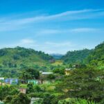 Bob Marley's Nine Mile Admission Guided Tour St. Ann Ocho Rios - The Sum Up