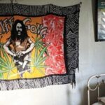 Bob Marleys One Love Private Tour 9 Mile - Who Should Consider This Tour?