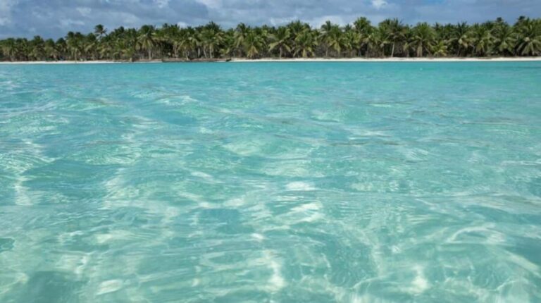 Boca Chica: Saona Island Full-Day Tour with Catamaran Ride - Authentic Experiences and Traveler Insights