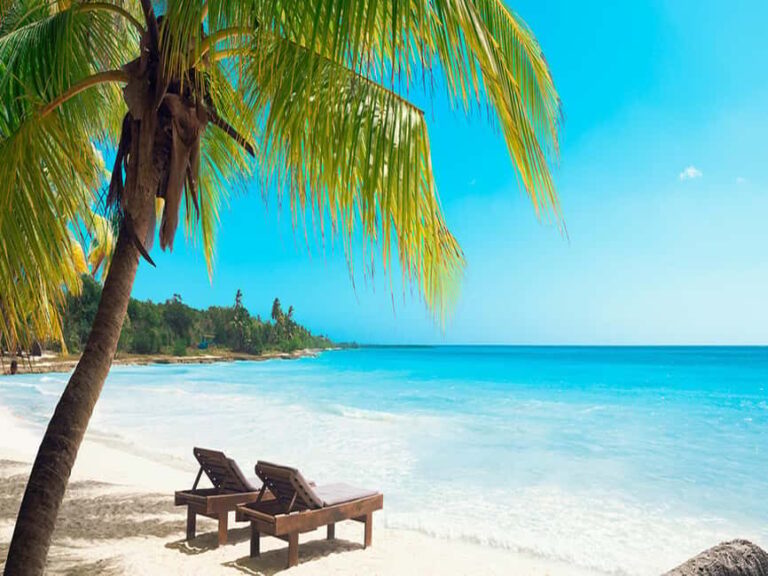 Boca Chica: Saona Island Full-Day Tour with Lunch - Practical Tips for Making the Most of Your Day