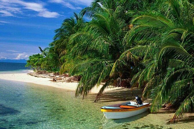 Bocas del Toro Island Hopping Day Tour in Zapatilla Beach - Who Will Love This Tour?