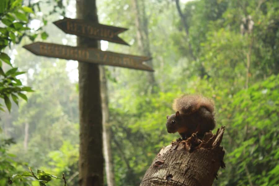 Bogota: Explore the forest and bird watching at Chicaque Natural Park - Who Will Love This Tour?