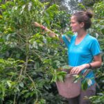 Bogotá: Guided Coffee Tour with Lunch, and Pickup & Drop-Off - The Experience: What You Can Expect