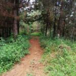 Bogota: Private Hiking Eco Walk Tour - Discovering Colombia’s Green Heart Outside Bogota