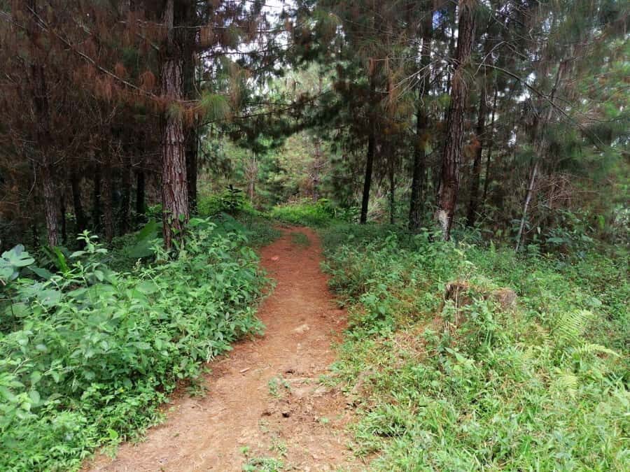 Bogota: Private Hiking Eco Walk Tour - Discovering Colombia’s Green Heart Outside Bogota