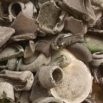 Bonaire Beachcombing and Sea Glass Private Tour - Authentic Experiences and Genuine Value