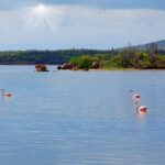 Bonaire Island North Side DiscoveryTour - The North Side Tour: An In-Depth Look