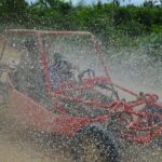 Boogies & Polaris - Explore Punta Cana in a Buggy - The Adventure Itself: Jungle, Villages, and Beaches