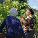 Book Your Private Two and a Half Hour Island Tour today! - What Travelers Say: Authentic Experiences from Reviews