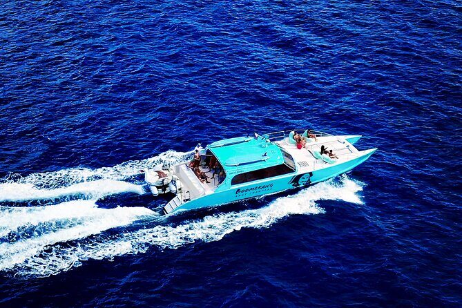 Boomerangs Best of Anguilla: Swim with Turtles Adventure - Final Thoughts