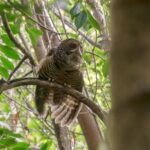 Bosque Piedra Reserve Tour - Final Thoughts: Is It Worth It?