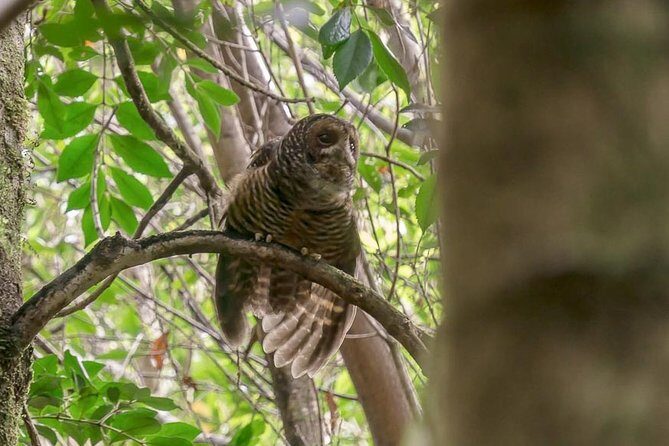 Bosque Piedra Reserve Tour - Final Thoughts: Is It Worth It?