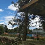 Botanical Garden Bogotá Private Tour (4 Hrs.) - Why This Tour Offers Good Value