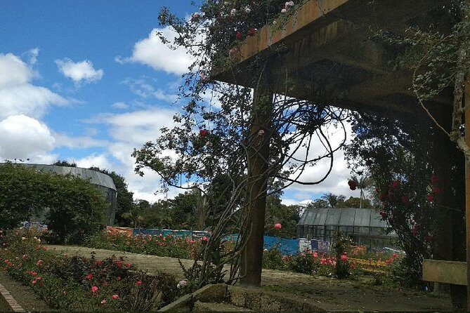 Botanical Garden Bogotá Private Tour (4 Hrs.) - Why This Tour Offers Good Value