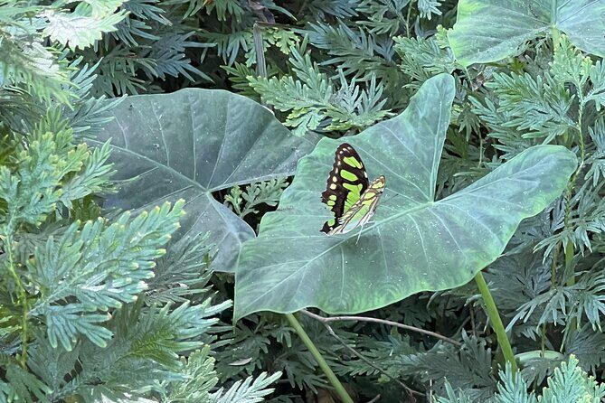 Botanical Garden Cartagena Private Tour with Bilingual Guide - Final Thoughts: Is This Tour Worth It?