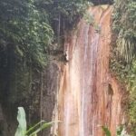 Botanical Garden Exploration - Who Should Consider This Tour?