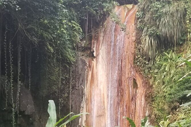 Botanical Garden Exploration - Who Should Consider This Tour?