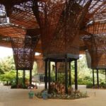 Botanical Gardens and Medellin City walking Tour - Final Thoughts
