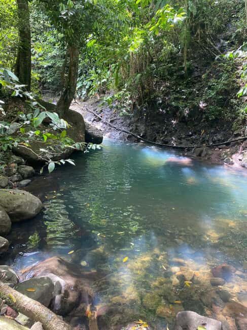 Bouillante Tour: Discover the city of hot water - The Itinerary: What You Can Expect