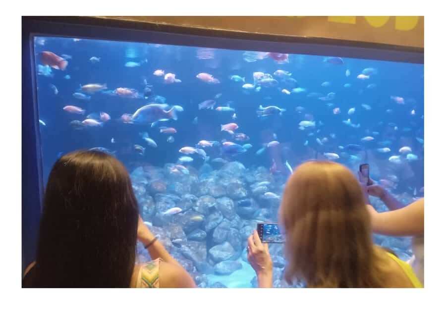 Boulevard Olímpico/AquaRio/Roda Gigante - Exploring Rio’s Waterfront in Depth